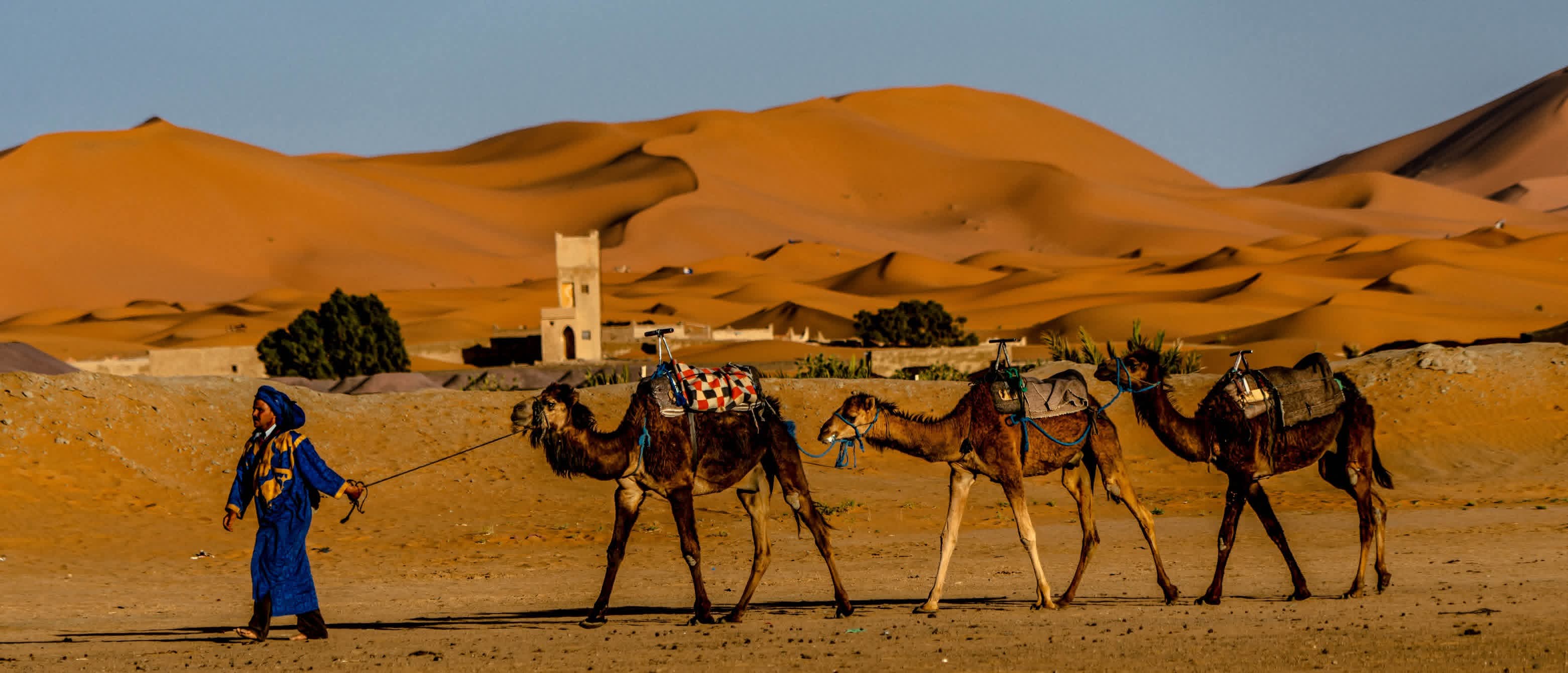 Merzouga vs Erg Chigaga Dunes