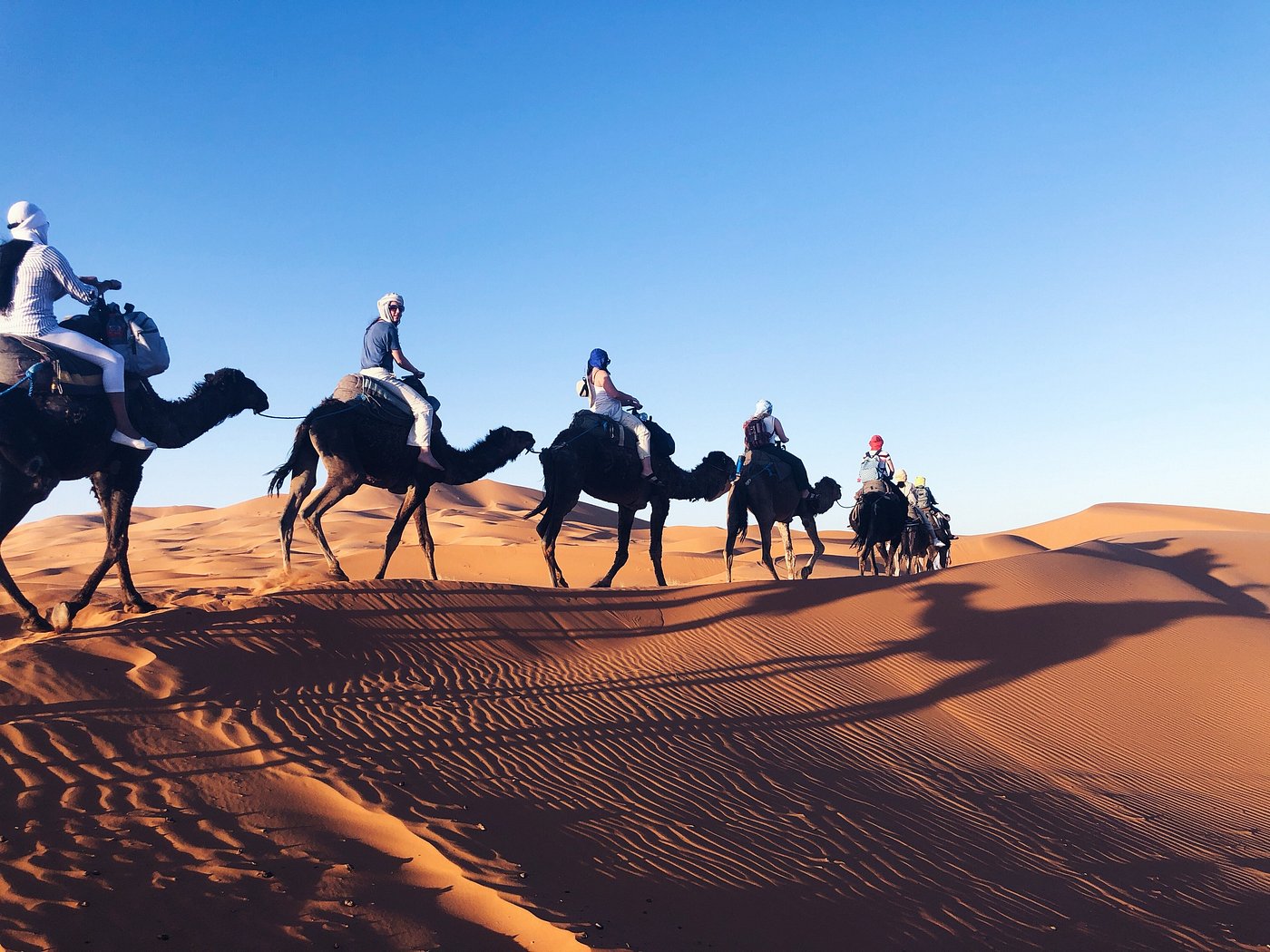 Desert landscape
