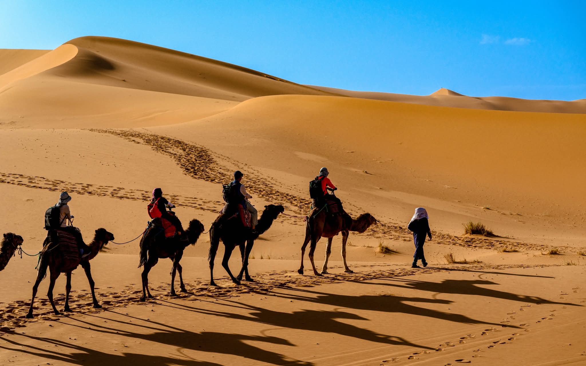 4 Day Desert Tour from Marrakech to Merzouga with Camel Trek