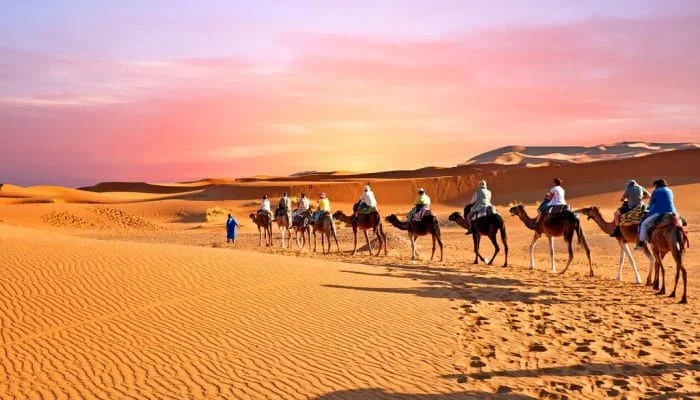 2 Day Desert Trip