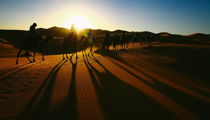 2-Night Camel Trek