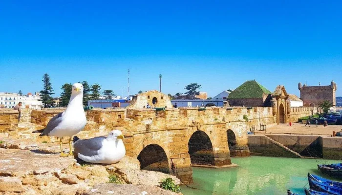 Essaouira Day Trip