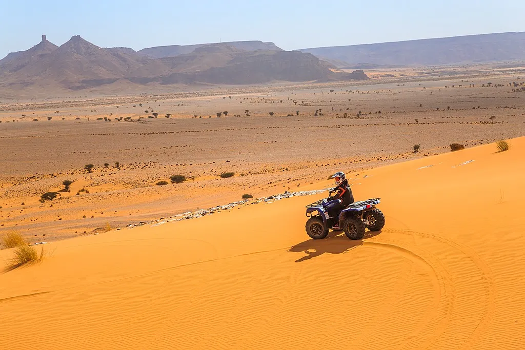 4 Day Desert Tour