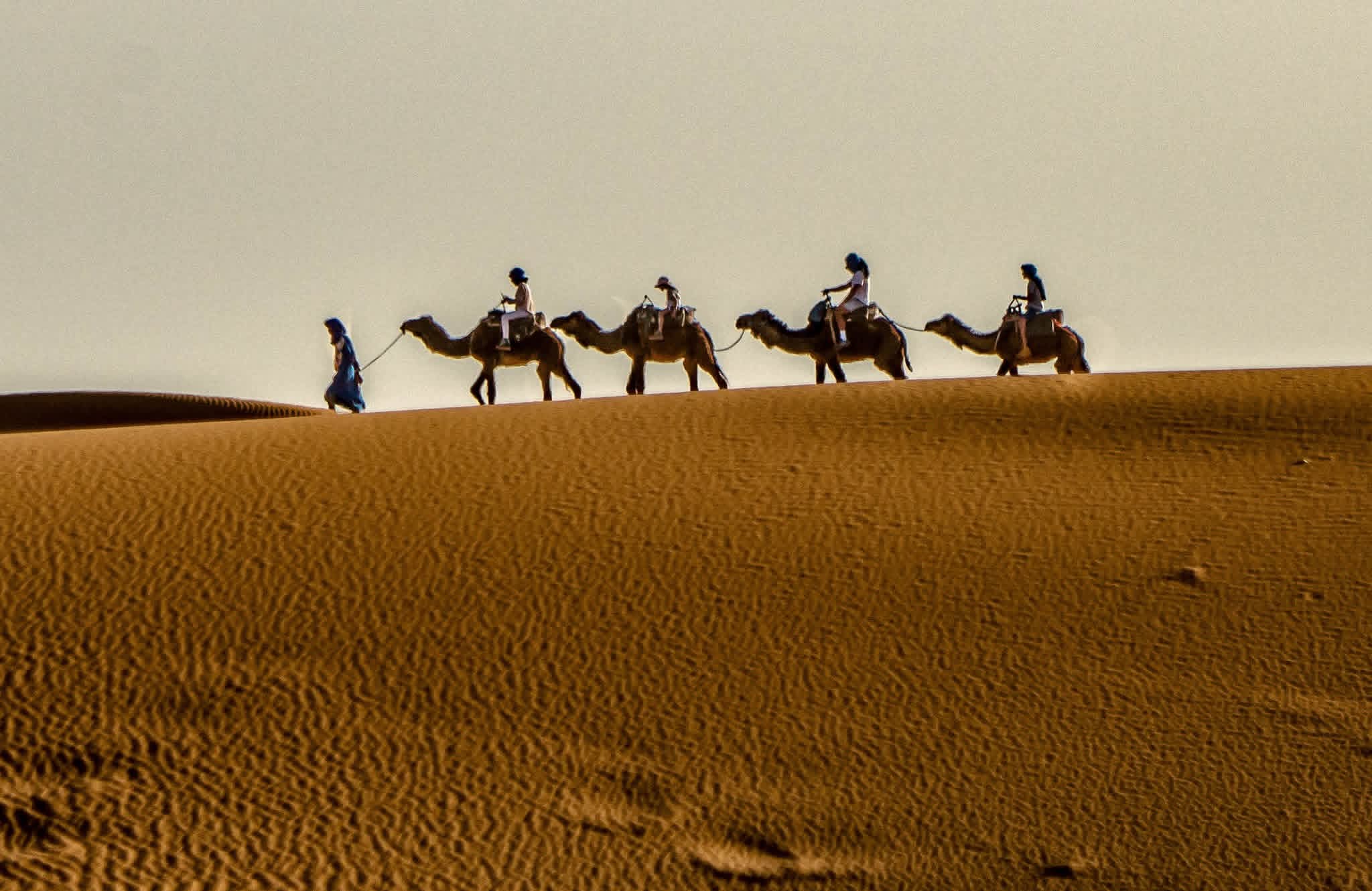 2 Days Desert Tour Marrakech to Zagora