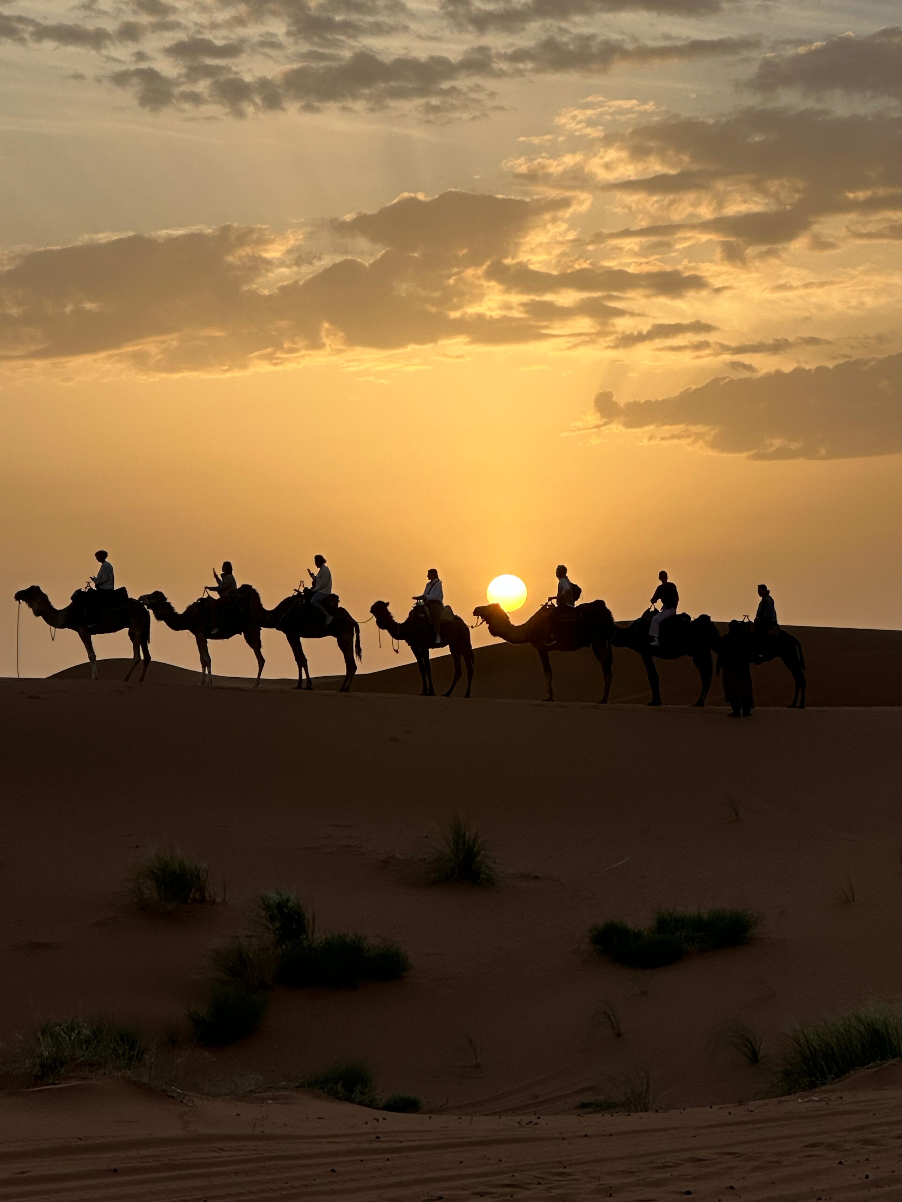 3 Day Desert Trip