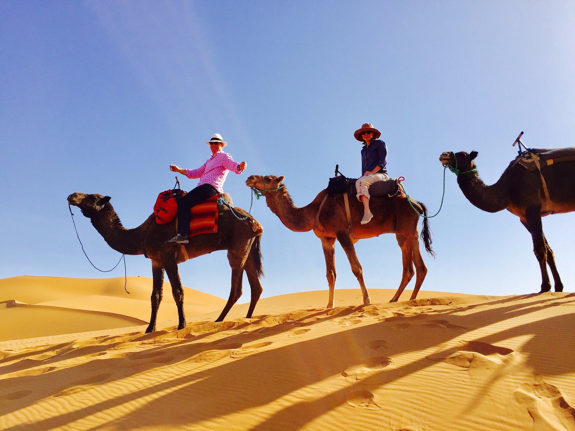 camel ride in erg chebbi dunes