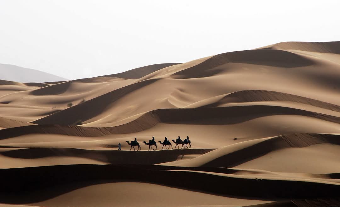 Desert landscape