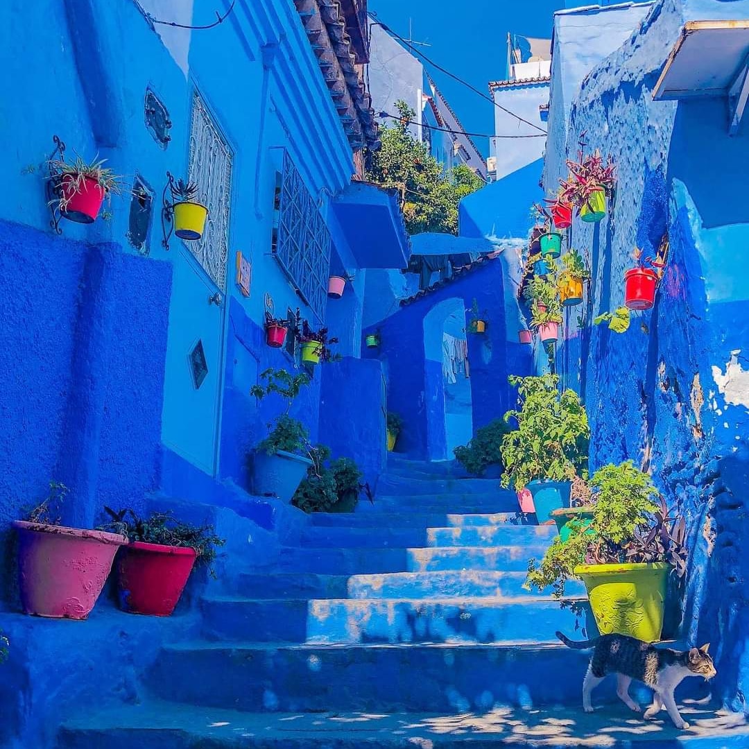 5 Days Morocco Tour from Casablanca to Chefchaouen Blue City and cultural exploration
