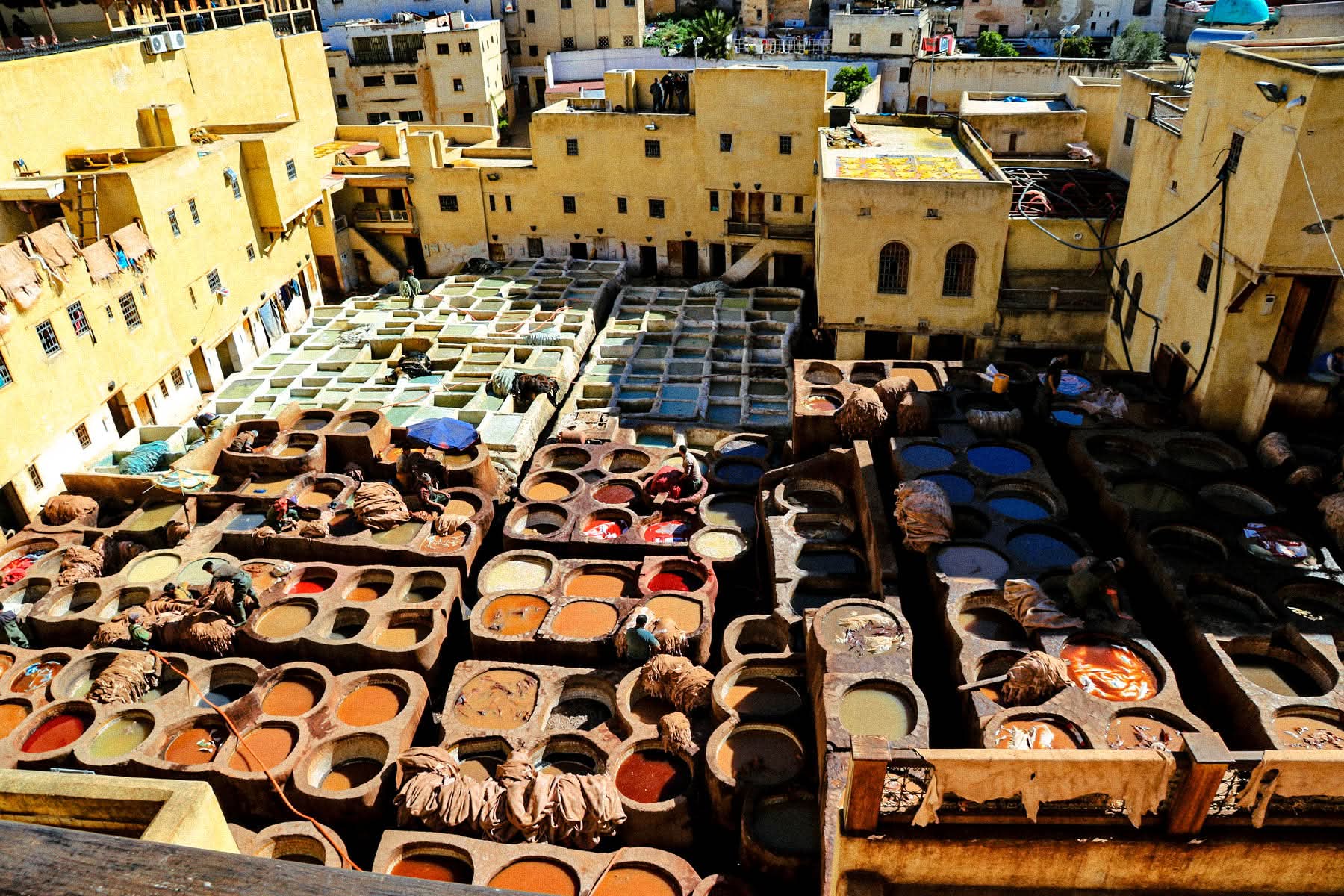  Fes Chouara tanning pits